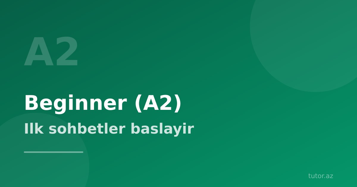 İngilis dili Beginner (A2) səviyyəsi: biliklər genişlənir