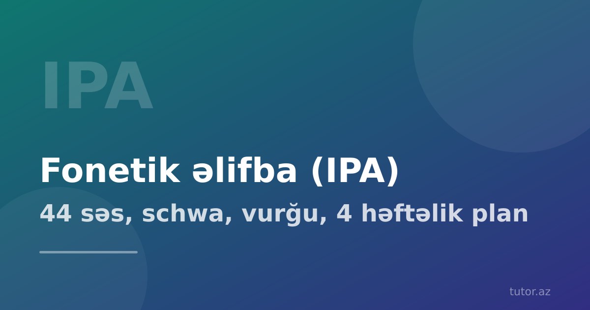 Fonetik əlifba (IPA) nədir, necə oxunur