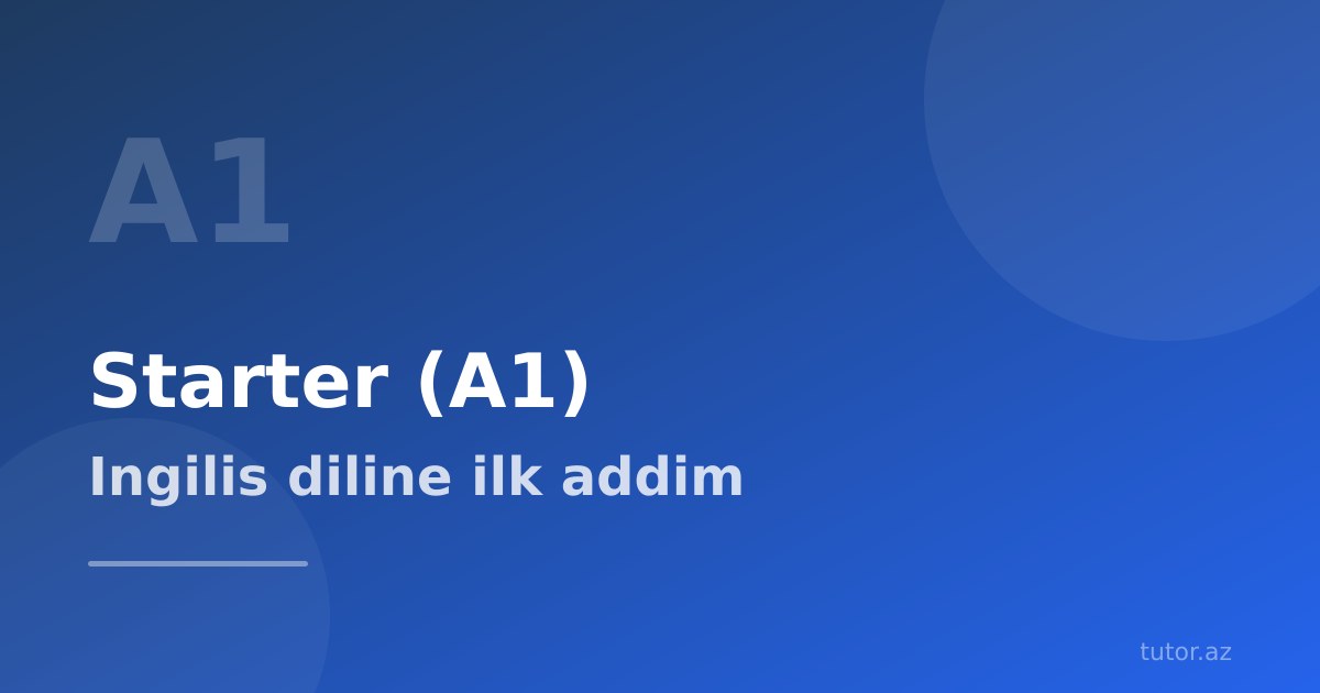 İngilis dili Starter (A1) səviyyəsi: haradan başlamaq lazımdır?